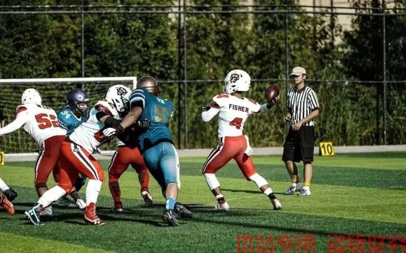 多米体育全站app